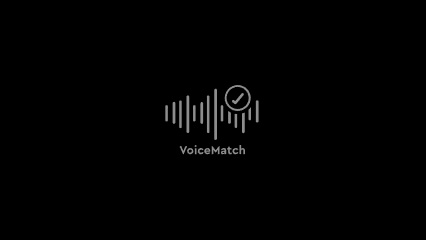  VoiceMatcTM